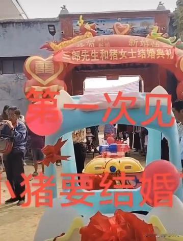 河南商丘一男子竟与猪举办婚礼？这究竟是无厘头闹剧还是恶意炒作？
有网友发视频称，