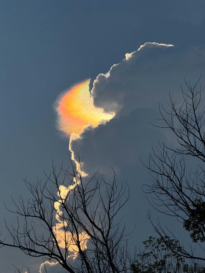 鞠婧祎片场拍的彩虹下午的鞠婧祎片场拍的彩虹和祥云小橘子好美的晚霞呀。真是神奇的景