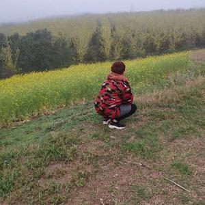 农家姑娘在写作