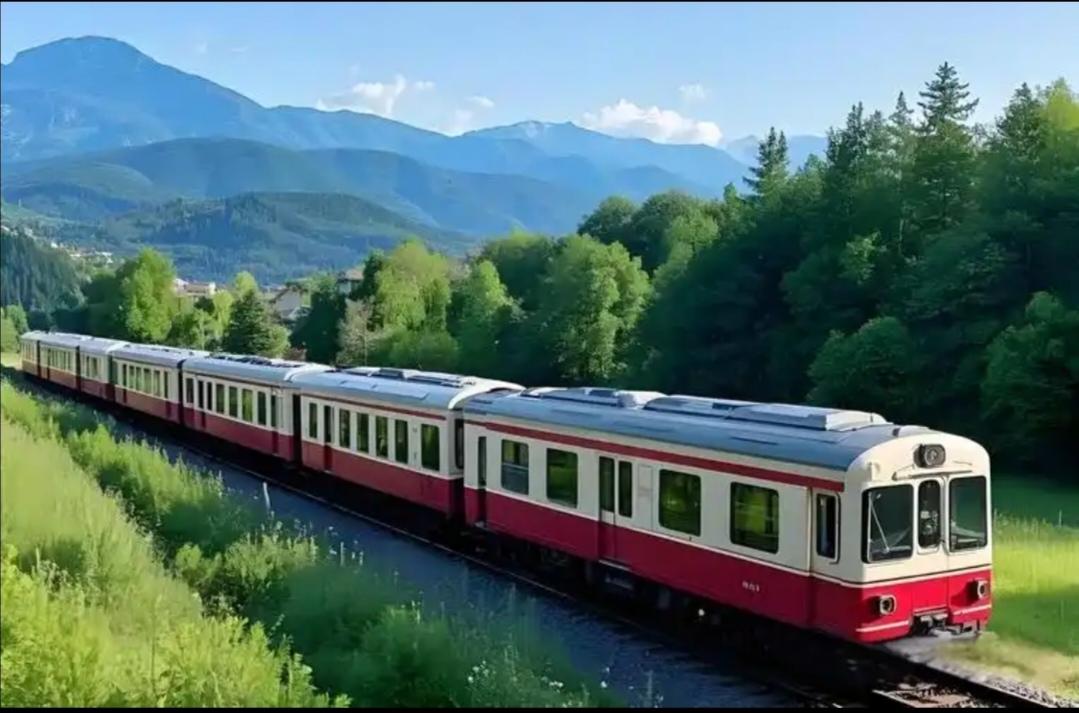 你对2026年的春运有何看法？
2026年春运那可真是相当给力！春运期间是人们出