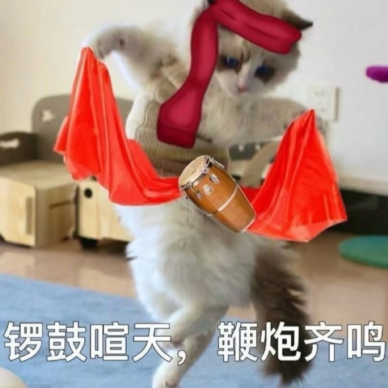 地球超新鲜[超话]  今天是9月4日 距离9月8日还有4天 ​​​