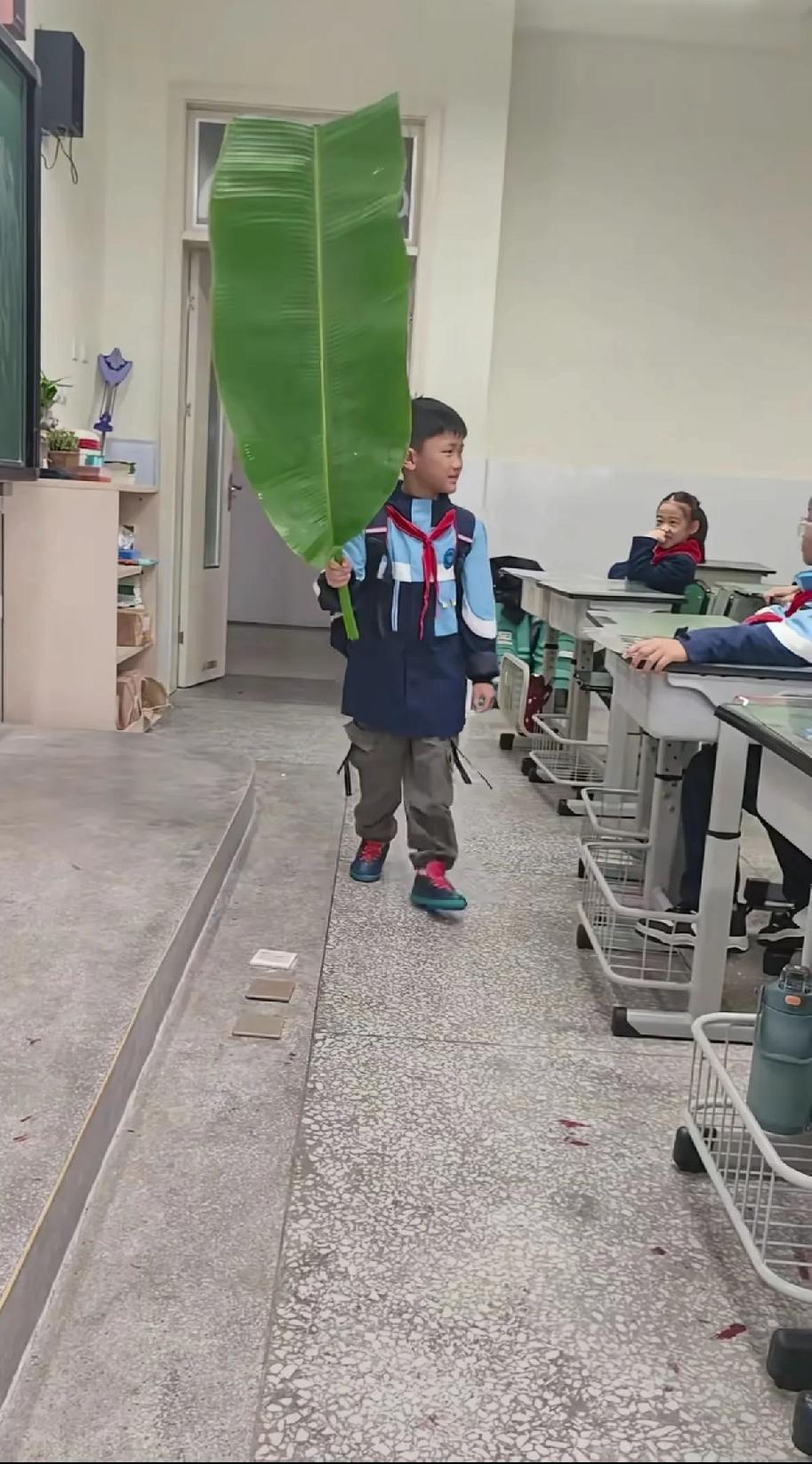 “笑不活了！”四川成都，一老师让同学找片叶子上课用，一小男孩直接扛来芭蕉叶，老师