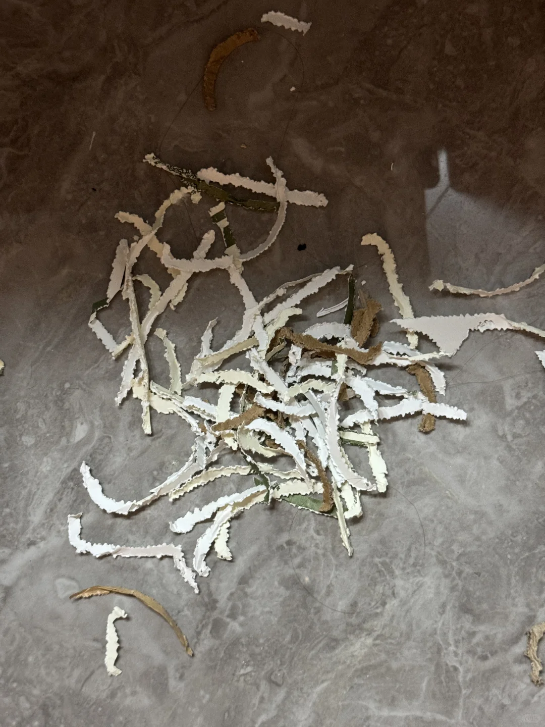 我就上了个厕所出来