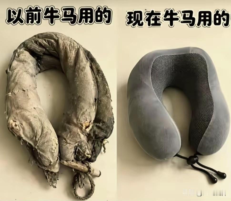 看着是网友瞎玩梗，但仔细一琢磨，确实挺扎心的。
以前的牛马套上这个，是为了拉重物