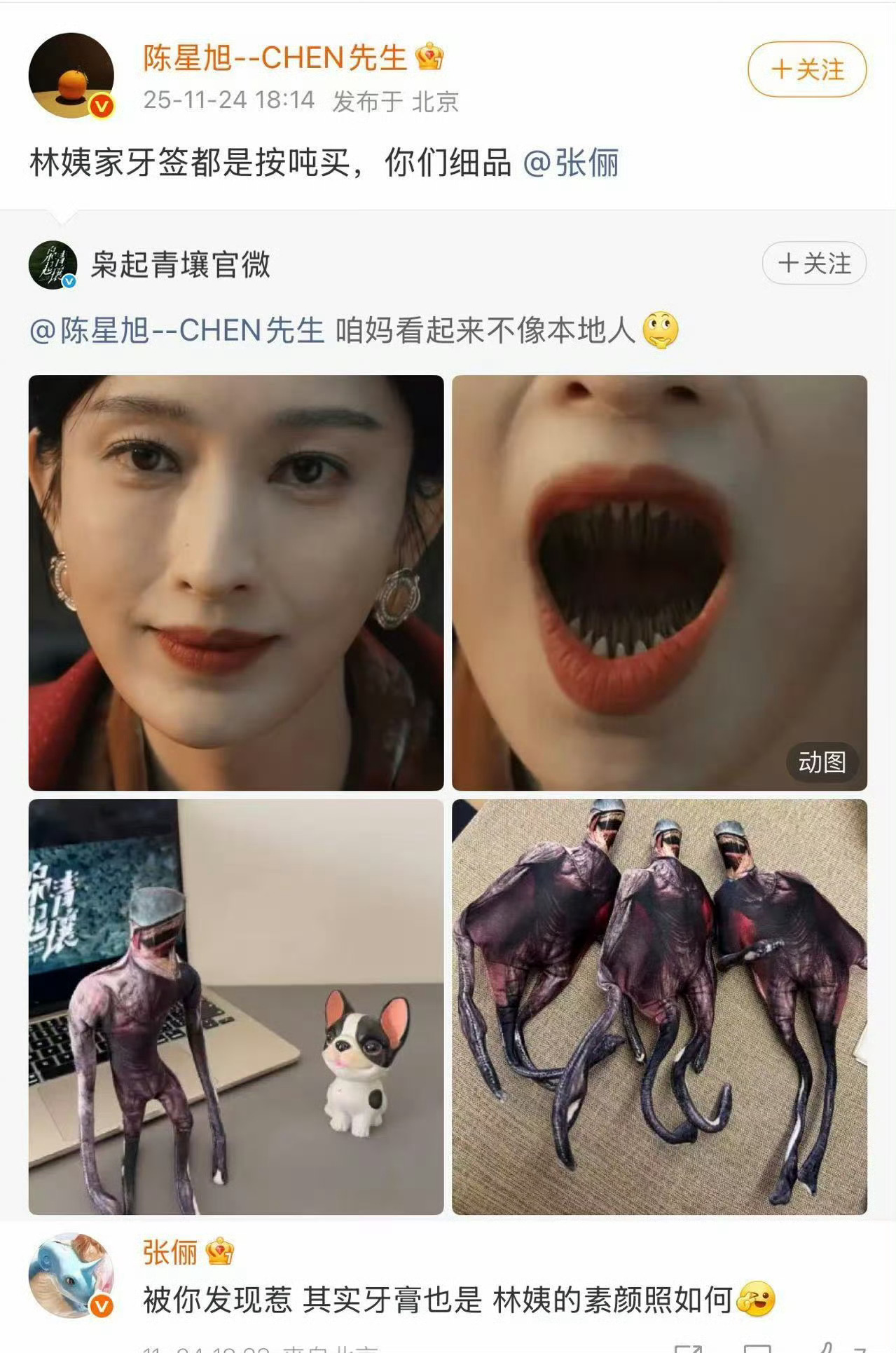 这个枭起青壤也太好笑了！不过林姨确实不像本地人啊，孙俪和陈星旭的互动太有爱了 