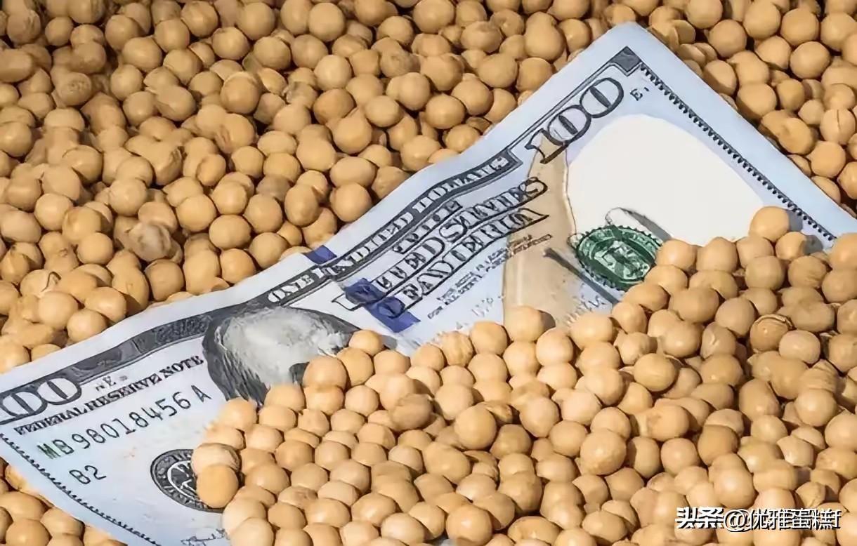 解释不清了！当一船满载6.9万吨巴西大豆的货轮靠泊江苏泰州码头时，谁也没想到，大
