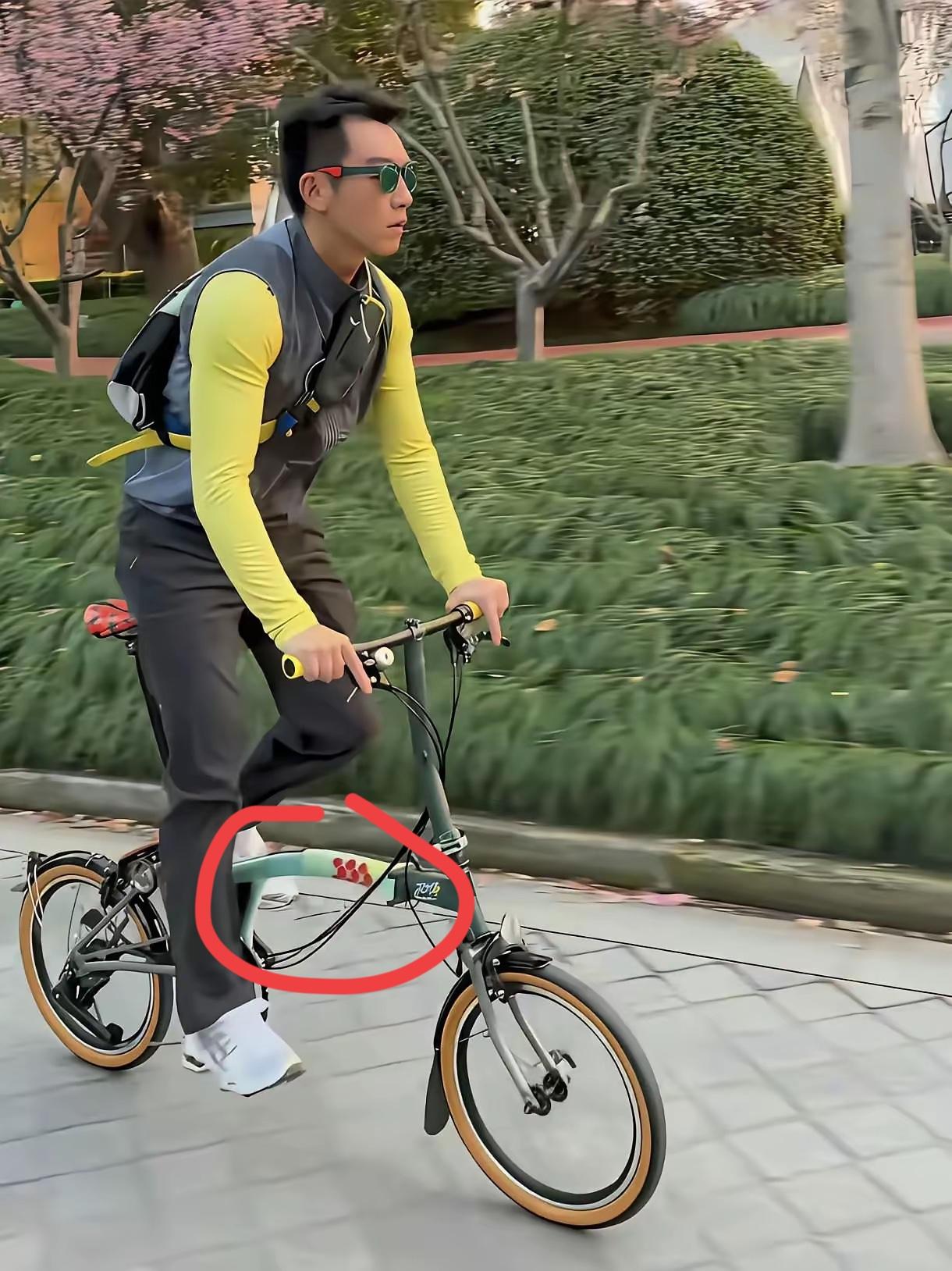 郑凯骑的自行车是什么牌子的？