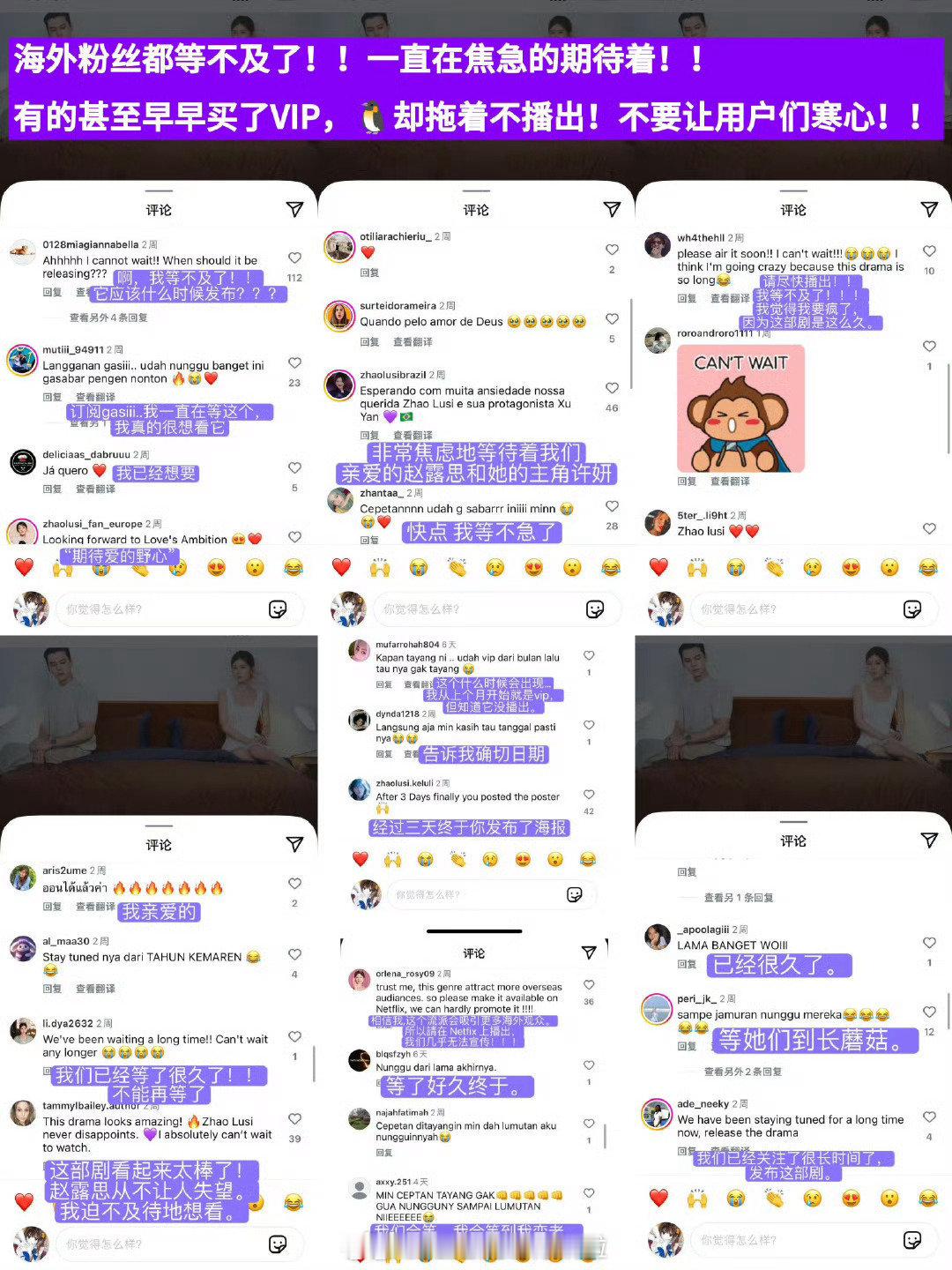 因为许我耀眼 被挪出暑假档，连艺人本人都说不知道为什不播，赵露思海外粉丝维权，纷