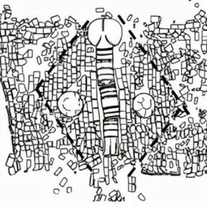 骠骑只看洛阳城