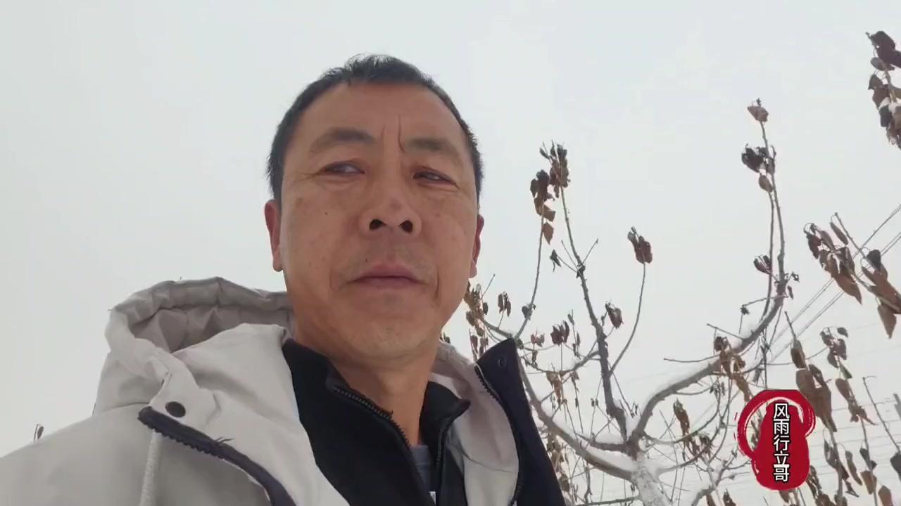 🍁秋季大樱桃10月后要合理控水。这个时期适当干旱，能促进树体干物质积累，提高冬
