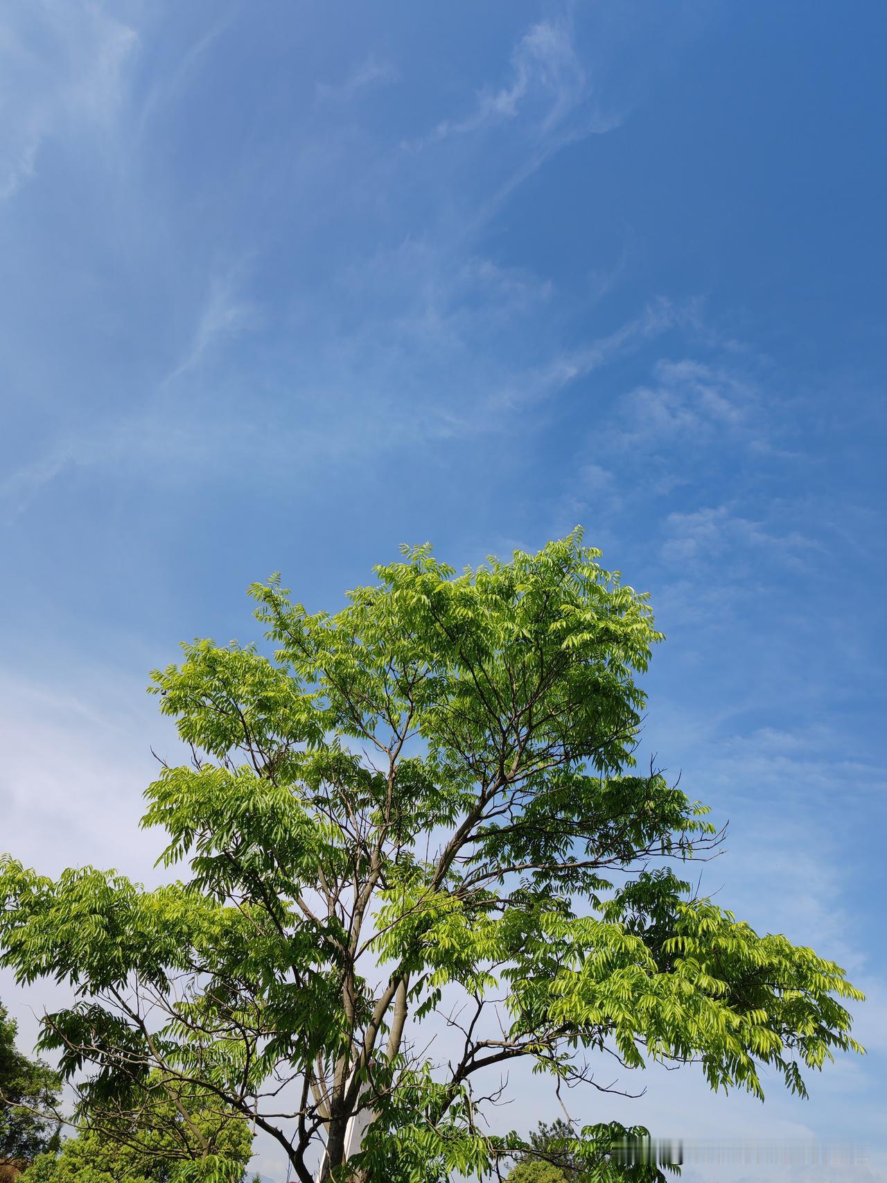 未来3年，要想好好活下去，请狠狠记住这十大忠告:
​1、买车不买贵，省油、耐用最