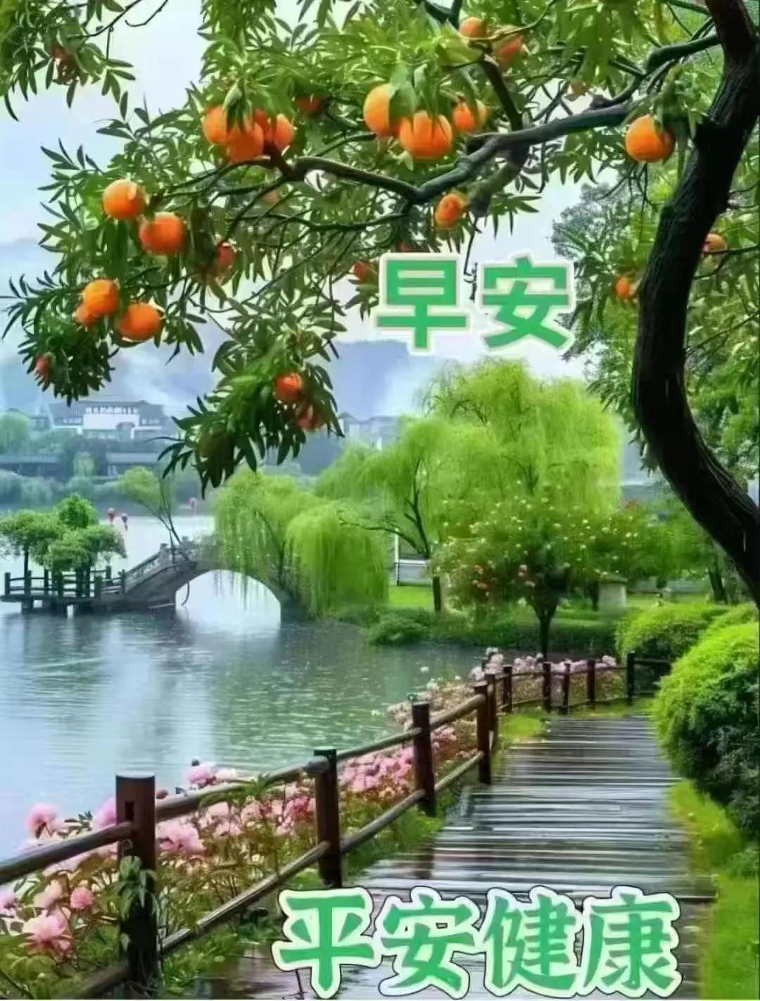 逐光的行者

临河先生
 
在春寒的风中穿梭
探寻命运潜藏的方向
风在耳边，奏响