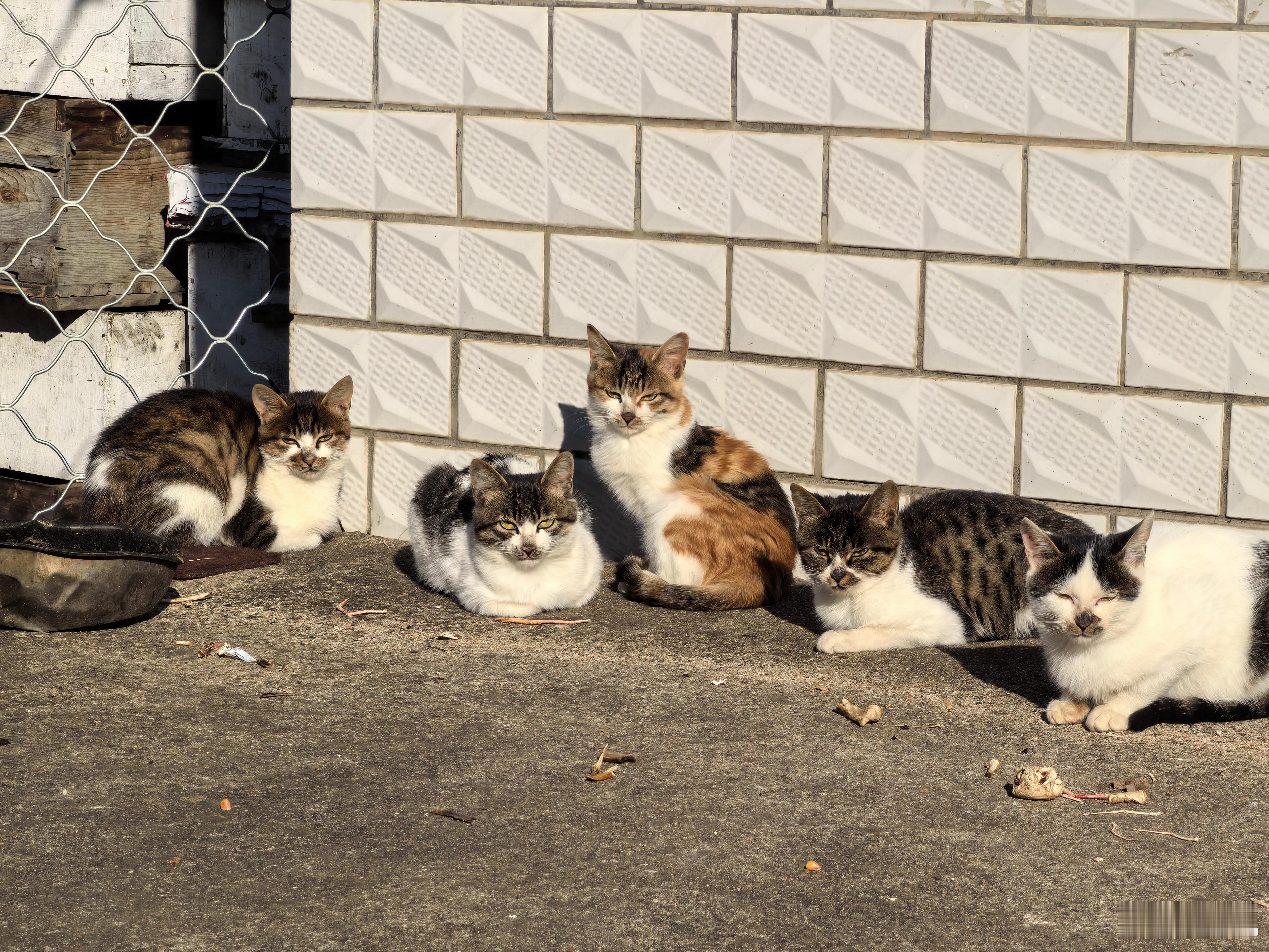 这是一家人吧？ ​​​