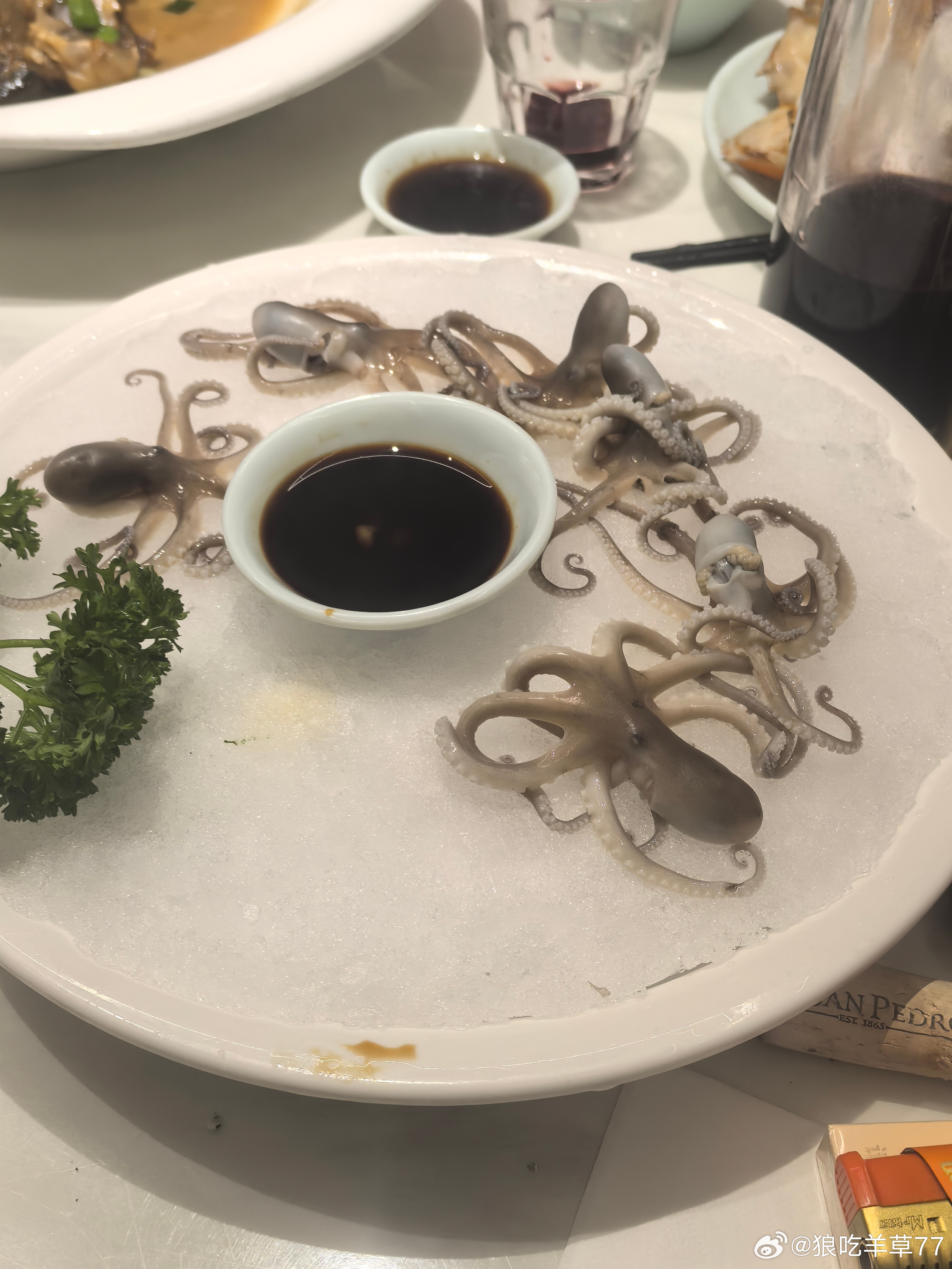 快，如果还没麻醉的。速度麻醉起来麻醉人生，快乐一生 