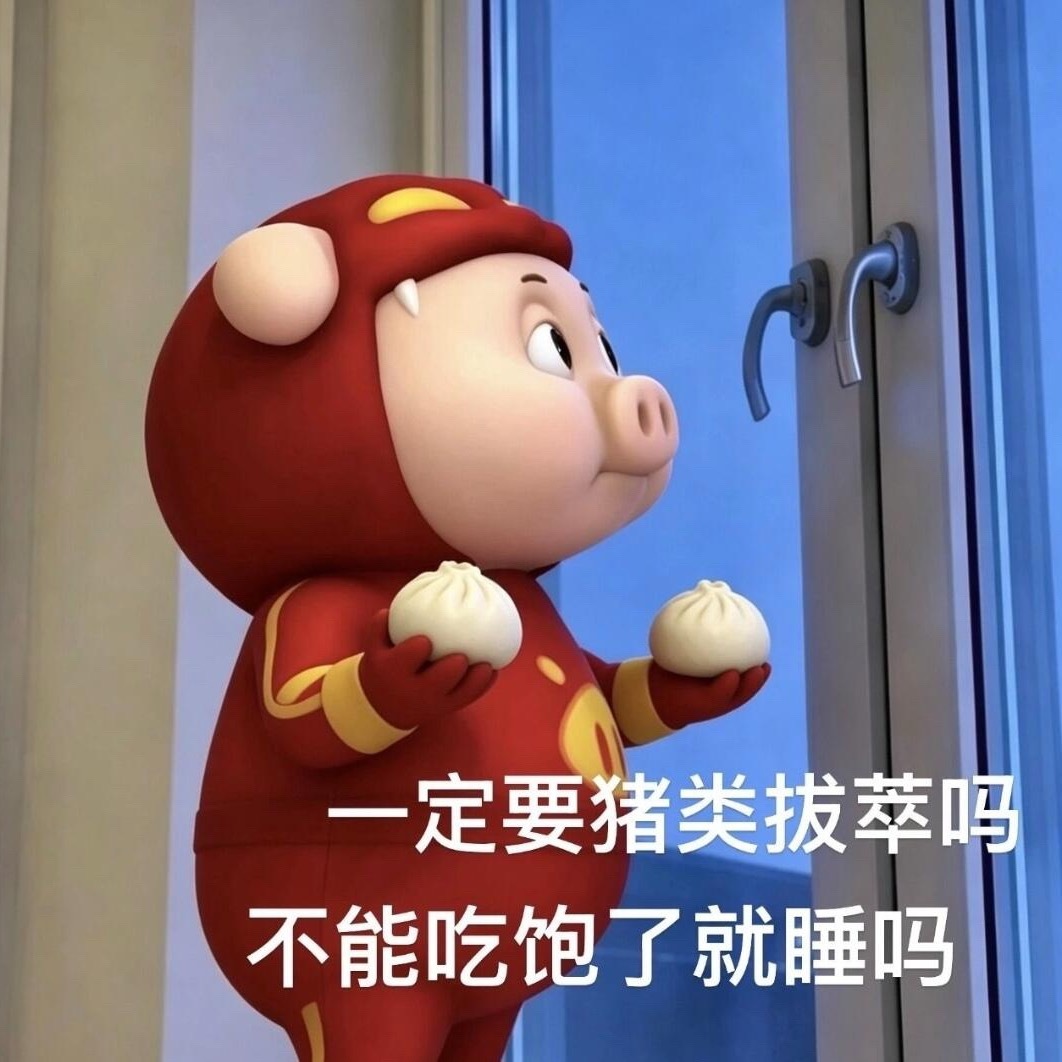 有人替的猪猪侠菲菲： 