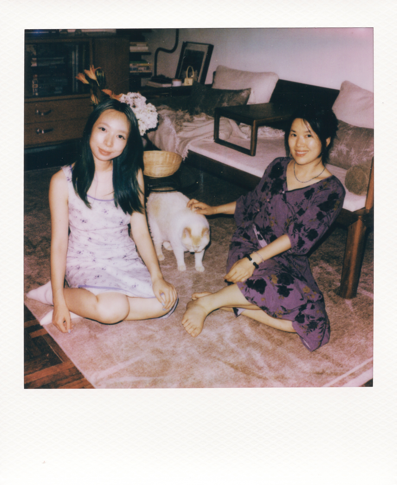 Polaroid 690 & I2 记录两个女人给猫咪剪指甲 