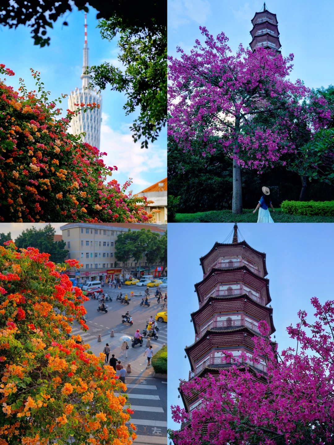 广州塔下的彩色秋天！藏不住的浪漫打卡路线