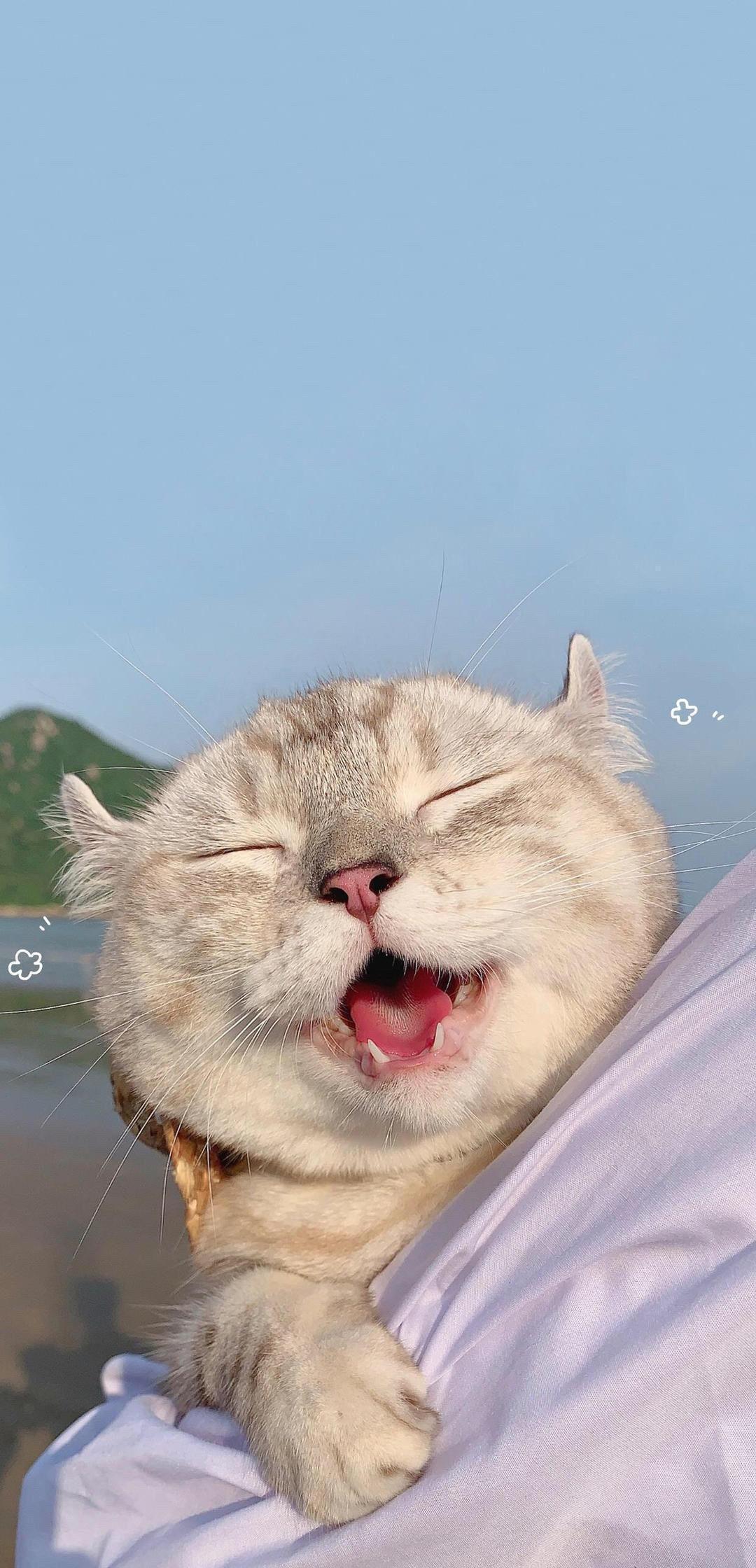 可是壁纸实在好用 ​​​