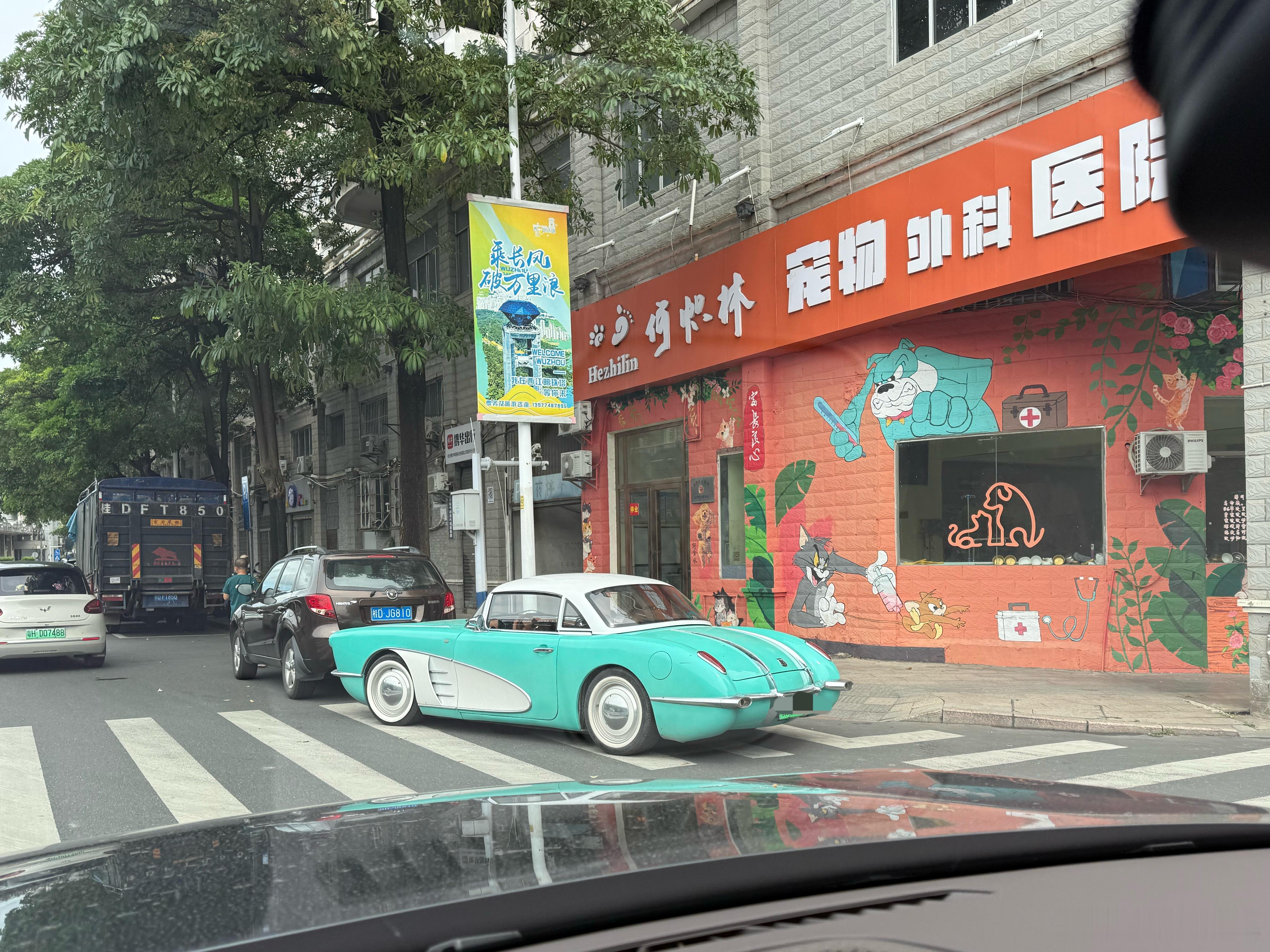 竟然在梧州遇到松散汽车！这个样子好适合度假啊！ ​​​