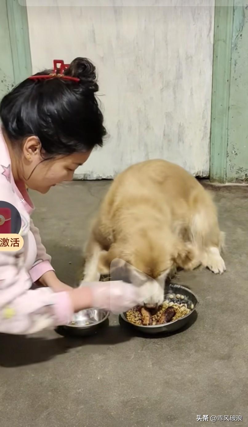 女主人满心不舍地将自己碗里的饭和香肠全倒给了狗狗。狗狗瞧见主人的碗空了，又把香肠