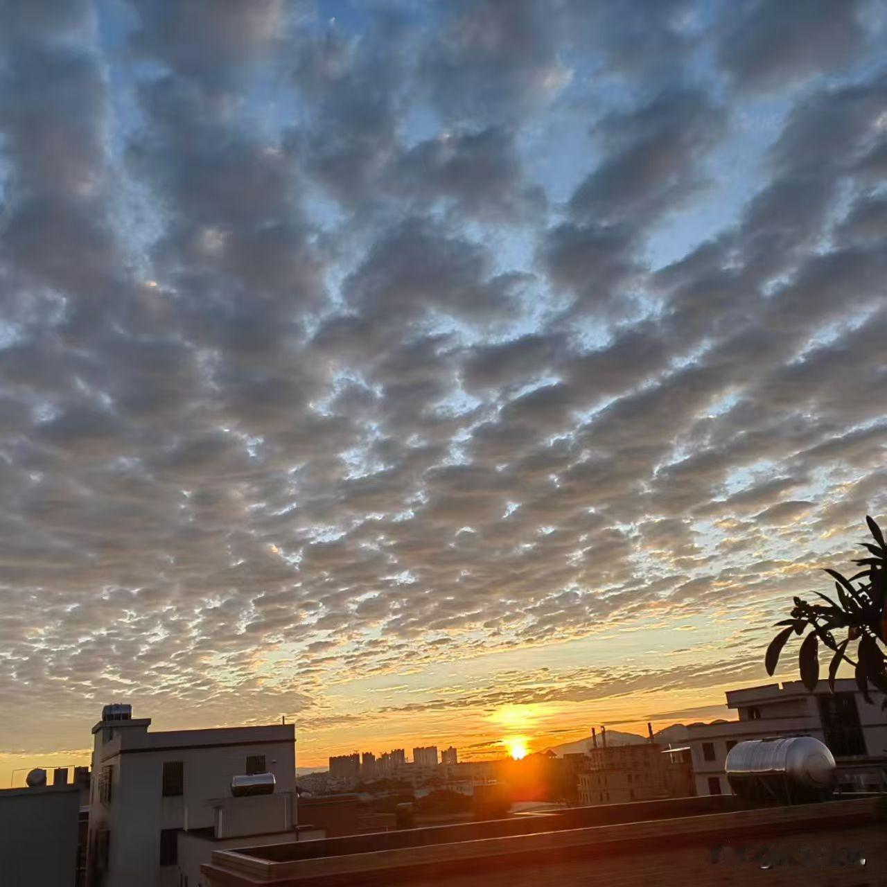 我新发布的内容被官方推荐啦！👍你也快来发布一条吧！带