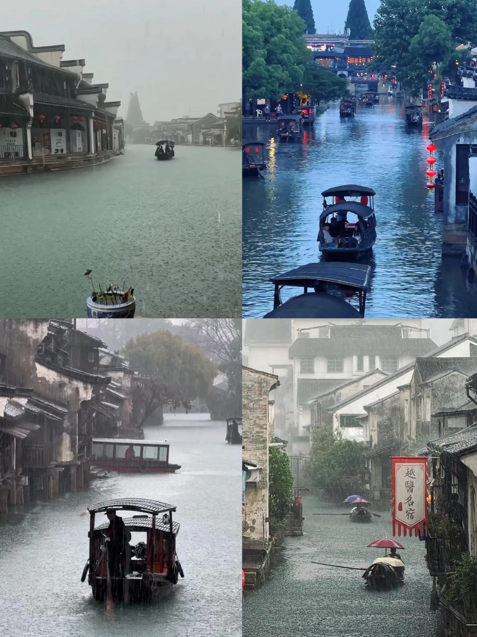 这次真的困在江南烟雨了.