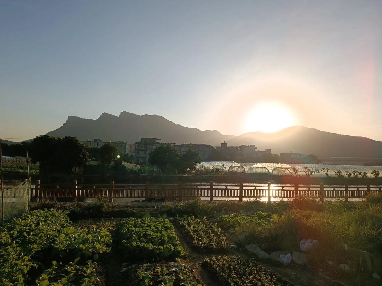 在福州的龙祥岛遥望乌龙江对岸的五虎山，风光如画。夕阳下江面如镜，龙祥岛的田园风光