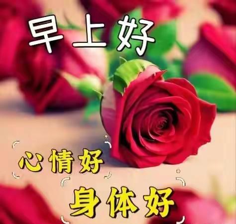 谢谢你们的暖心互动！每次刷到留言，都像揣了颗热乎糖——原来我不是独自分享，你们的