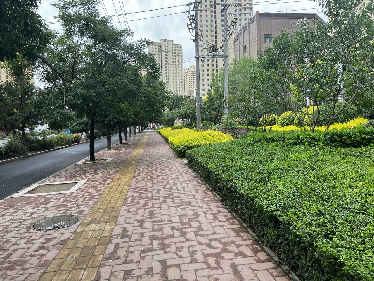 你觉得泽连斯基是乌克兰的罪人吗它是美国人跟欧洲人的英雄，却是乌克兰人的克星！反华