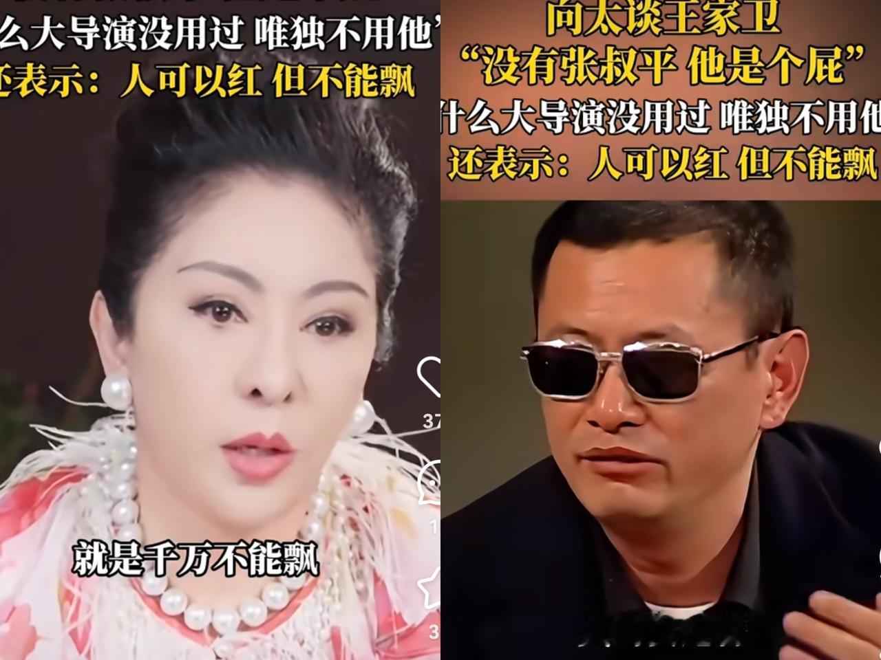 向太这波对王家卫的开炮，简直是把圈里不敢说的话全抖出来了！她直接放话“绝不录用王