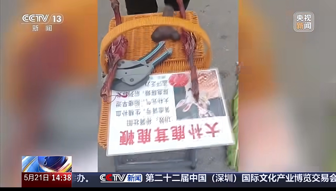 “50元一棵”变“50元一克”，用马鹿茸冒充梅花鹿鹿茸，暴力强卖，专坑老人。28