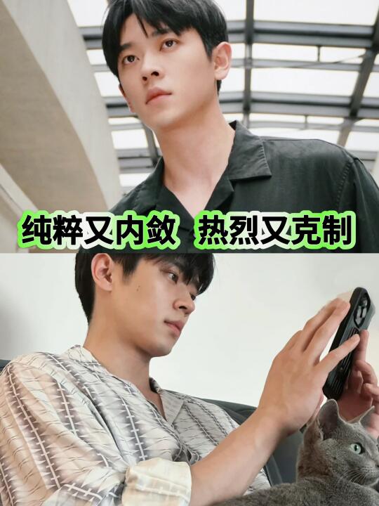 天啊！丞磊真的完全符合INFP会喜欢的类型…
