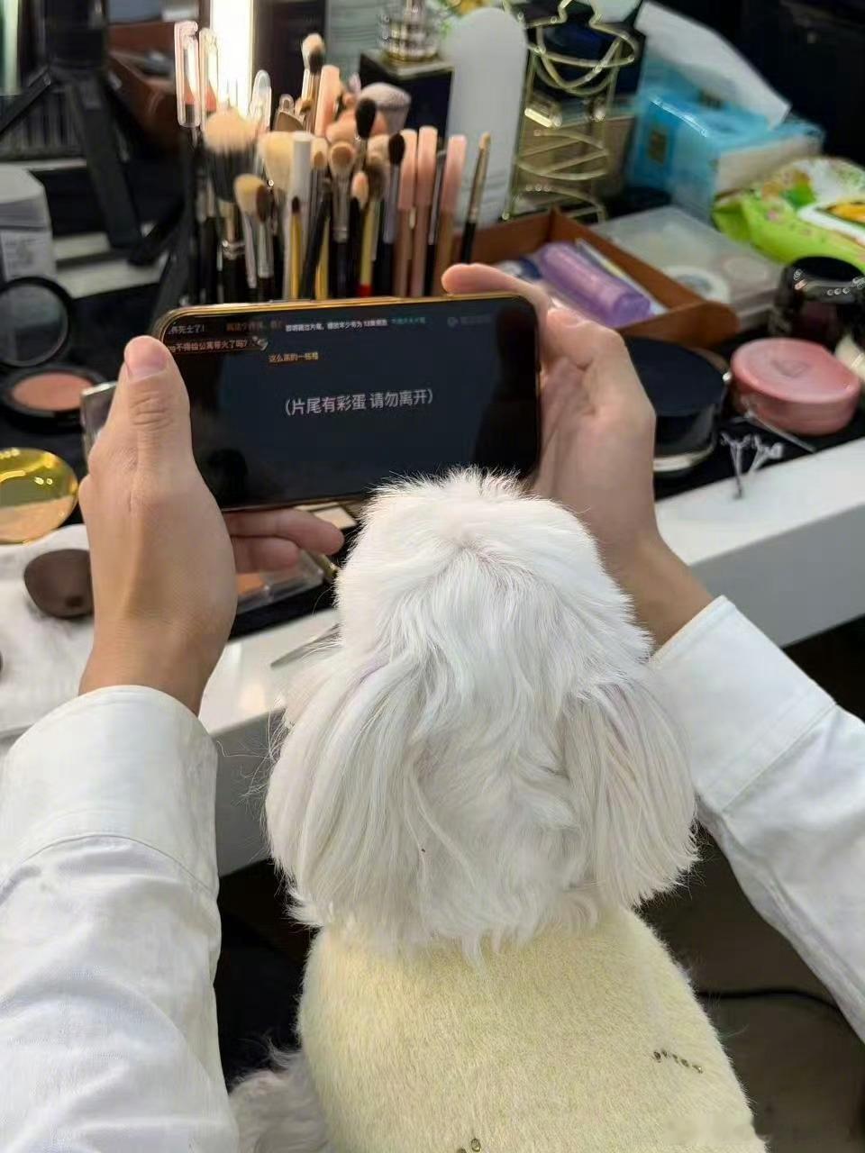 彭昱畅的追剧搭子是小狗 修狗也爱追剧！陪彭昱畅沉浸式看剧，连彩蛋都不错过，画面可