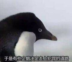 感觉夜晚能让我不惧怕做任何事。夜晚给了我全部的自由。白天的光照到我我都会皮肤溃烂