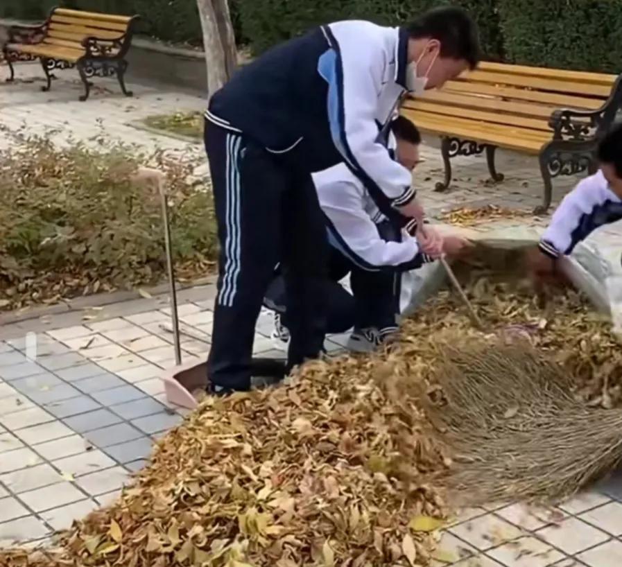 10月9日大庆一中学要求学生勤工俭学，每人开学交3麻袋树叶或20元“树叶费”给学