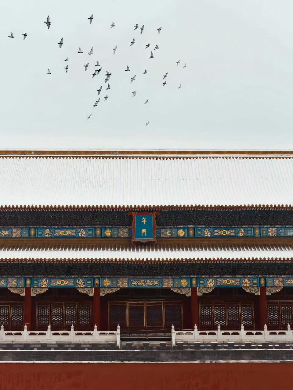 紫禁城迎来2026年第一场雪北京下雪，最适合去的地方当属故宫了。下周也要去北京，