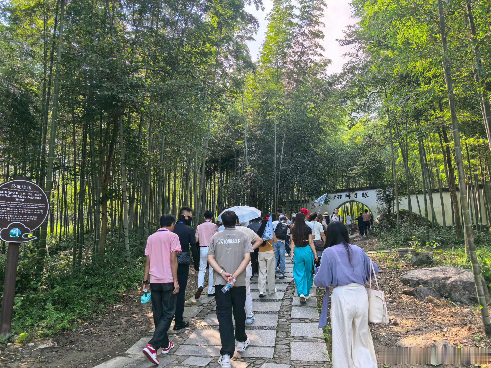 【爱我就带我去江西明月山】同城热点创作计划 山揽云海，月落人间🌙赴月亮之都宜春