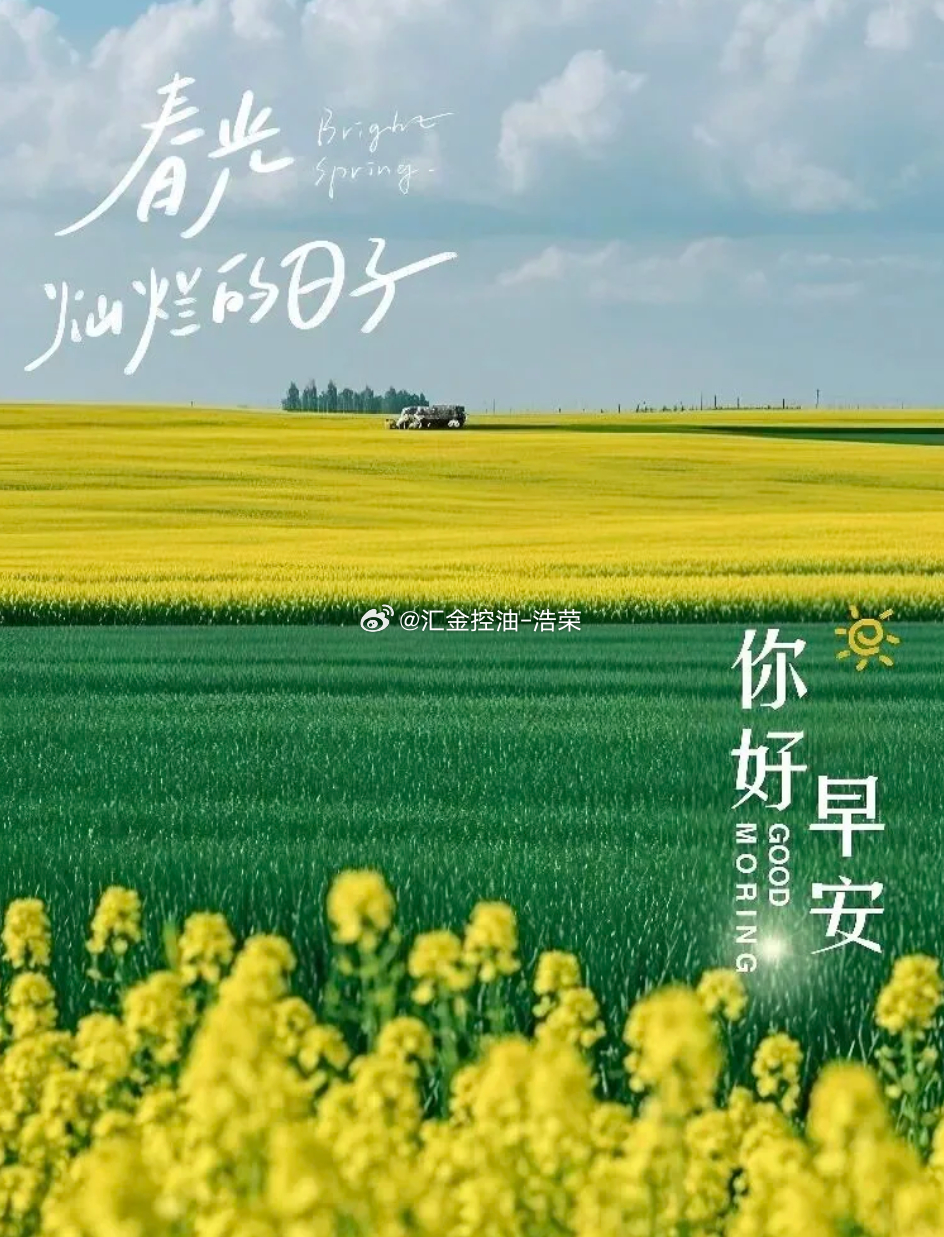 周一 生活像日历一样，只能做减法，每一页翻过去，都不可以重来，早安。早安