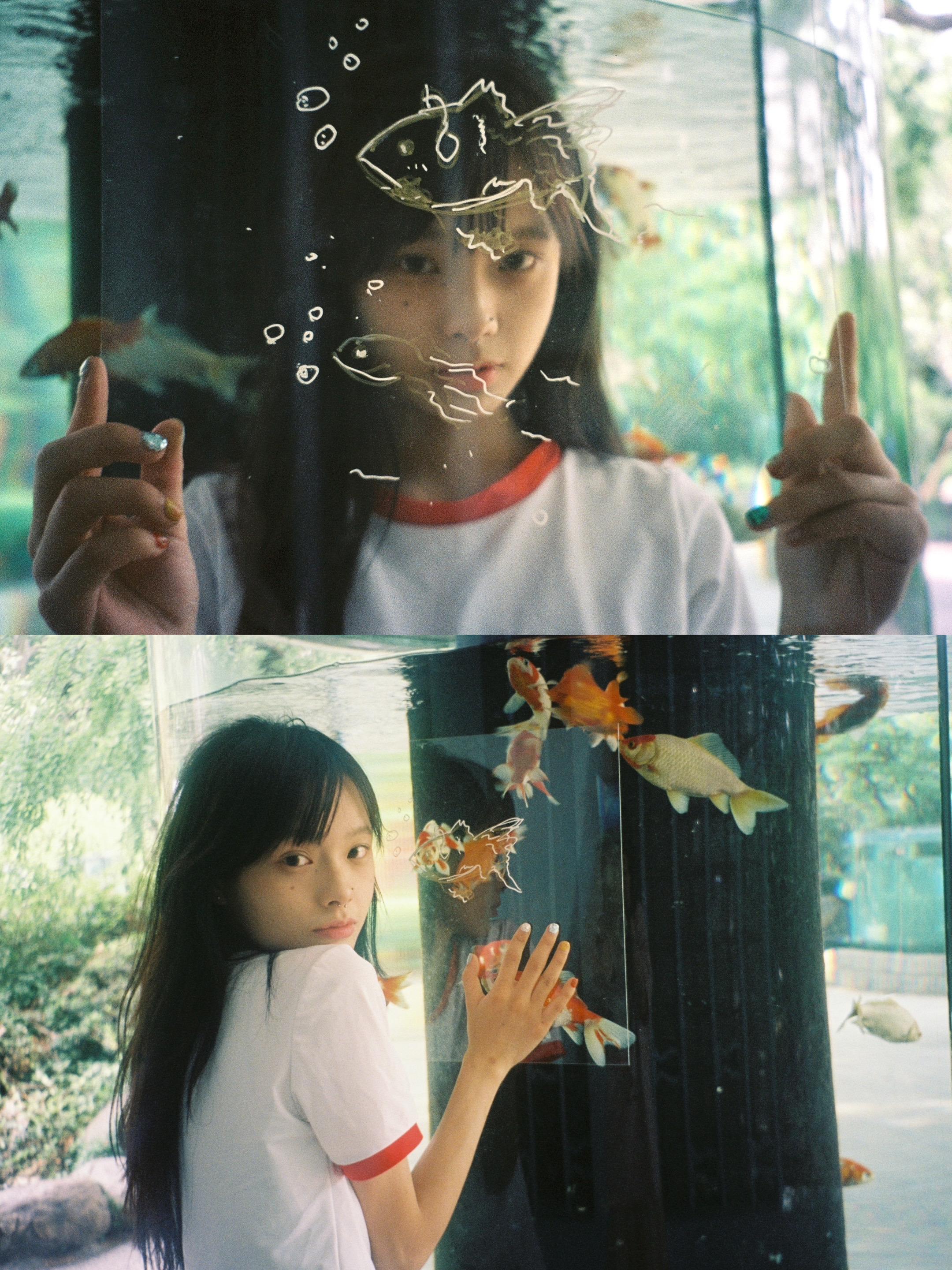 旋转的木马， 没有翅膀， 但却能够带着你到处飞翔， 音乐停下来， 你将...