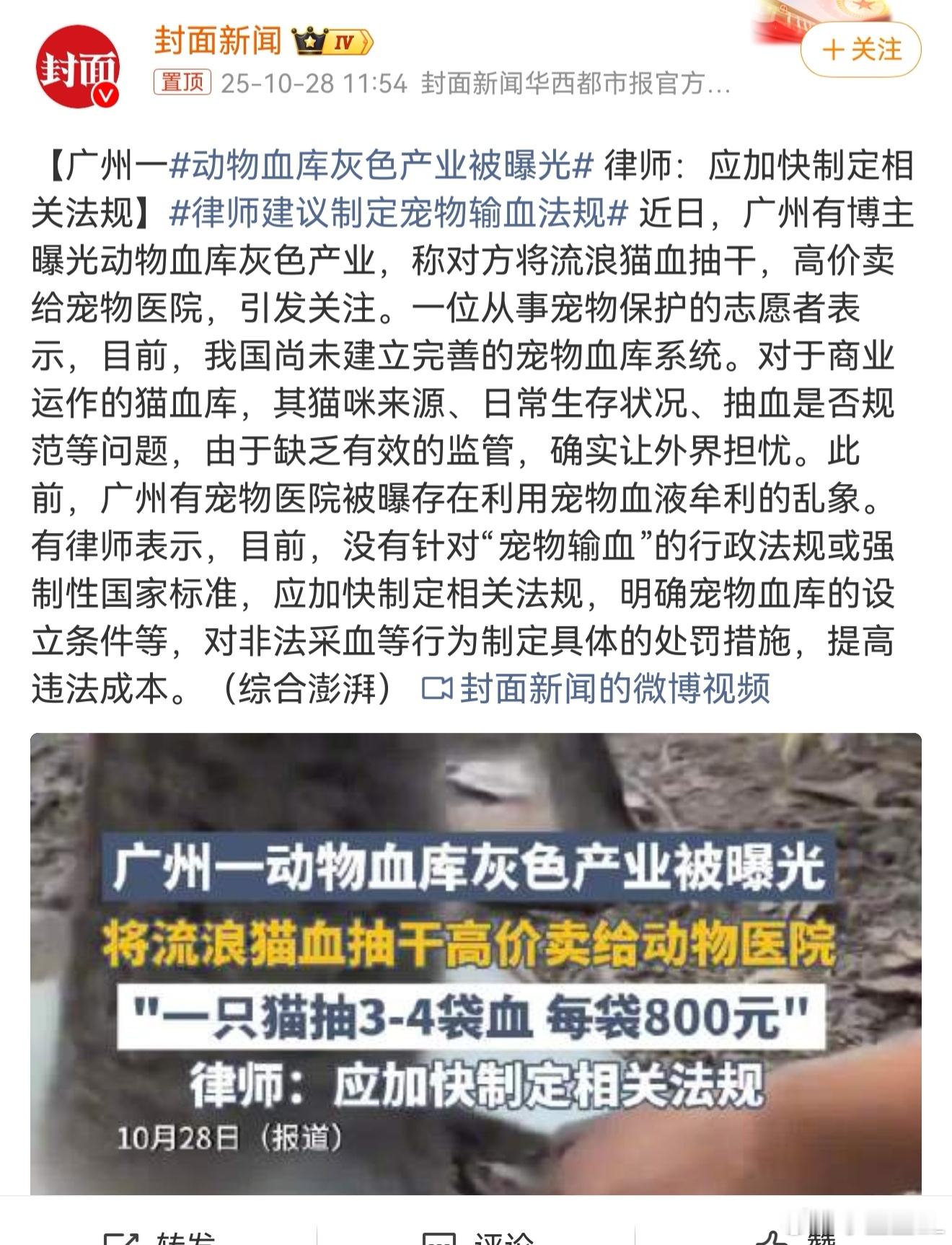 动物血库灰色产业被曝光  太残忍，太没人性了！自己家里6只猫都是路边捡回来的，真