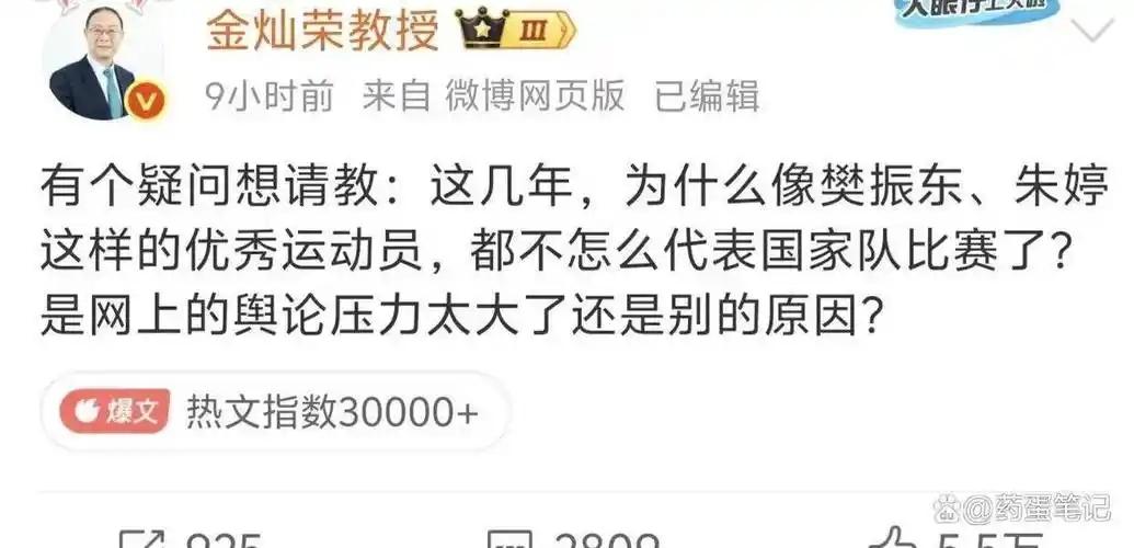 8月31日下午，中国人民大学教授金灿荣突然在社交平台发问：樊振东、朱婷这样的顶尖