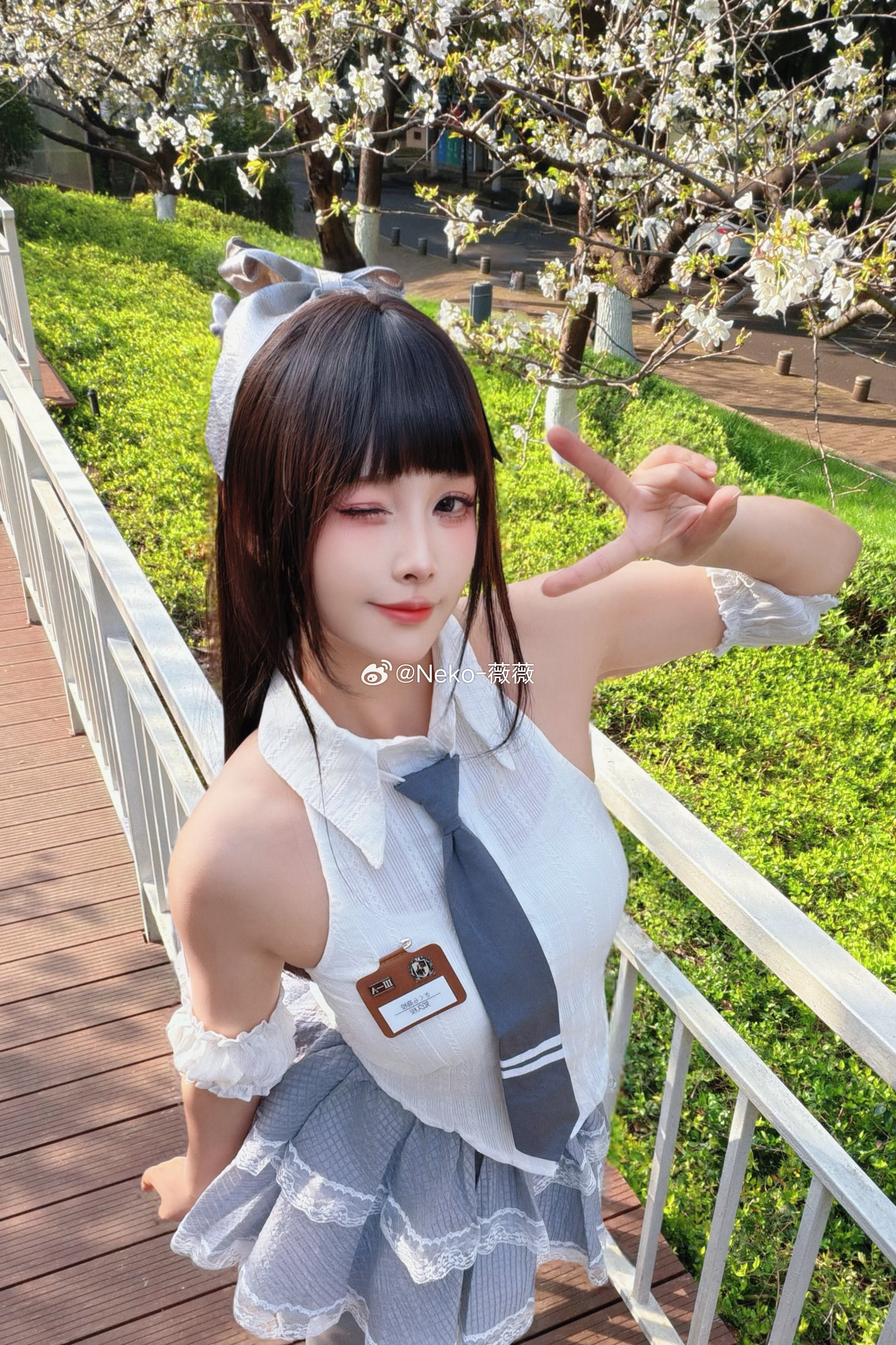 Neko_薇薇我和三坑的日常  春日～ 