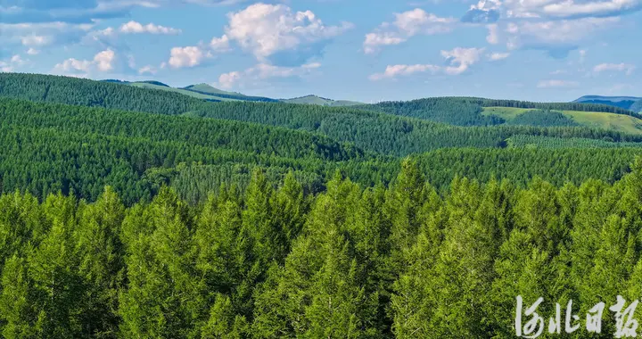 塞罕坝机械林场有了国际“绿色通行证”