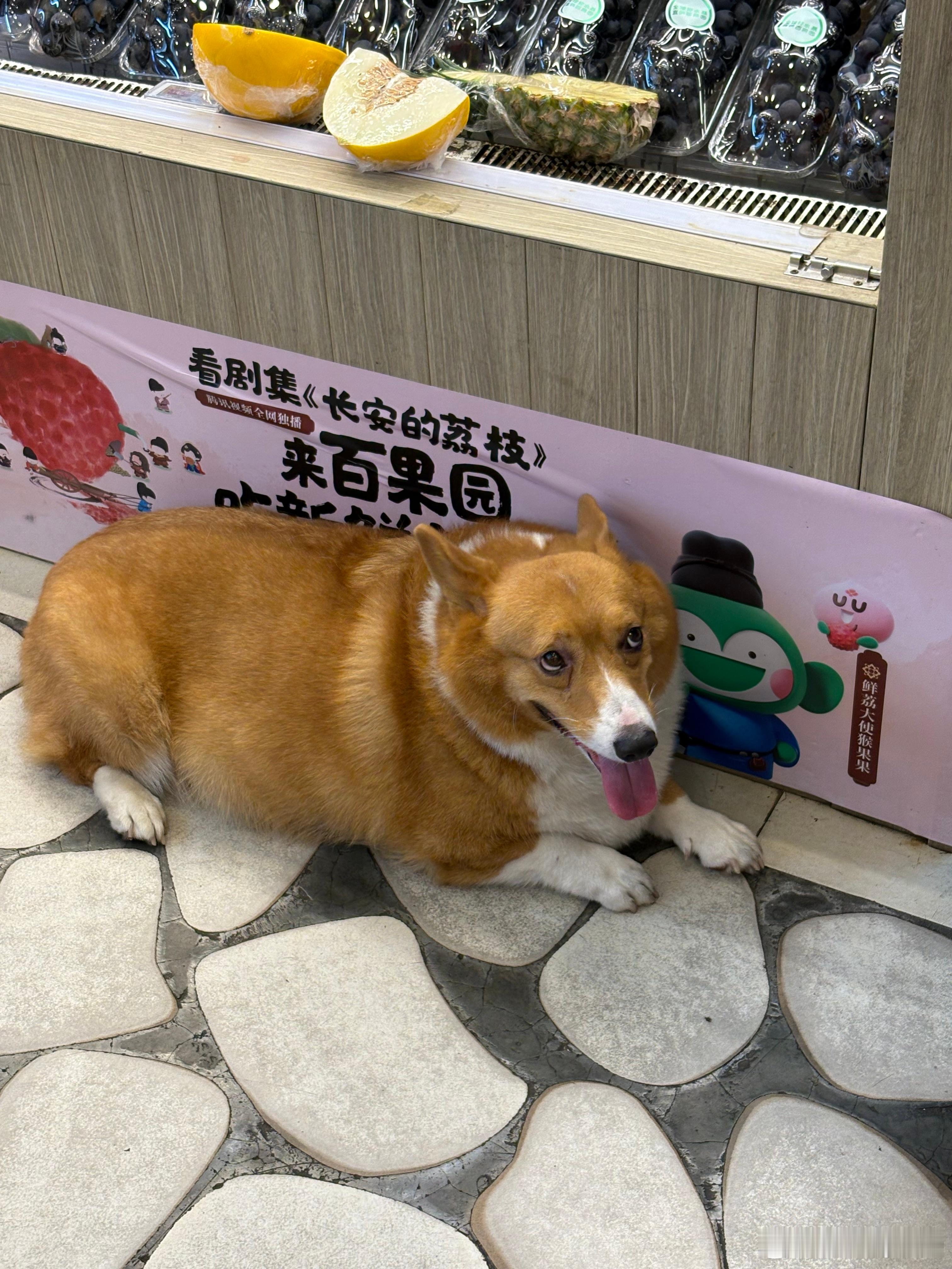 对象给我一千做家务吵架了他用一千就能让你做一辈子家务别以为是真的有多爱你给的奖励