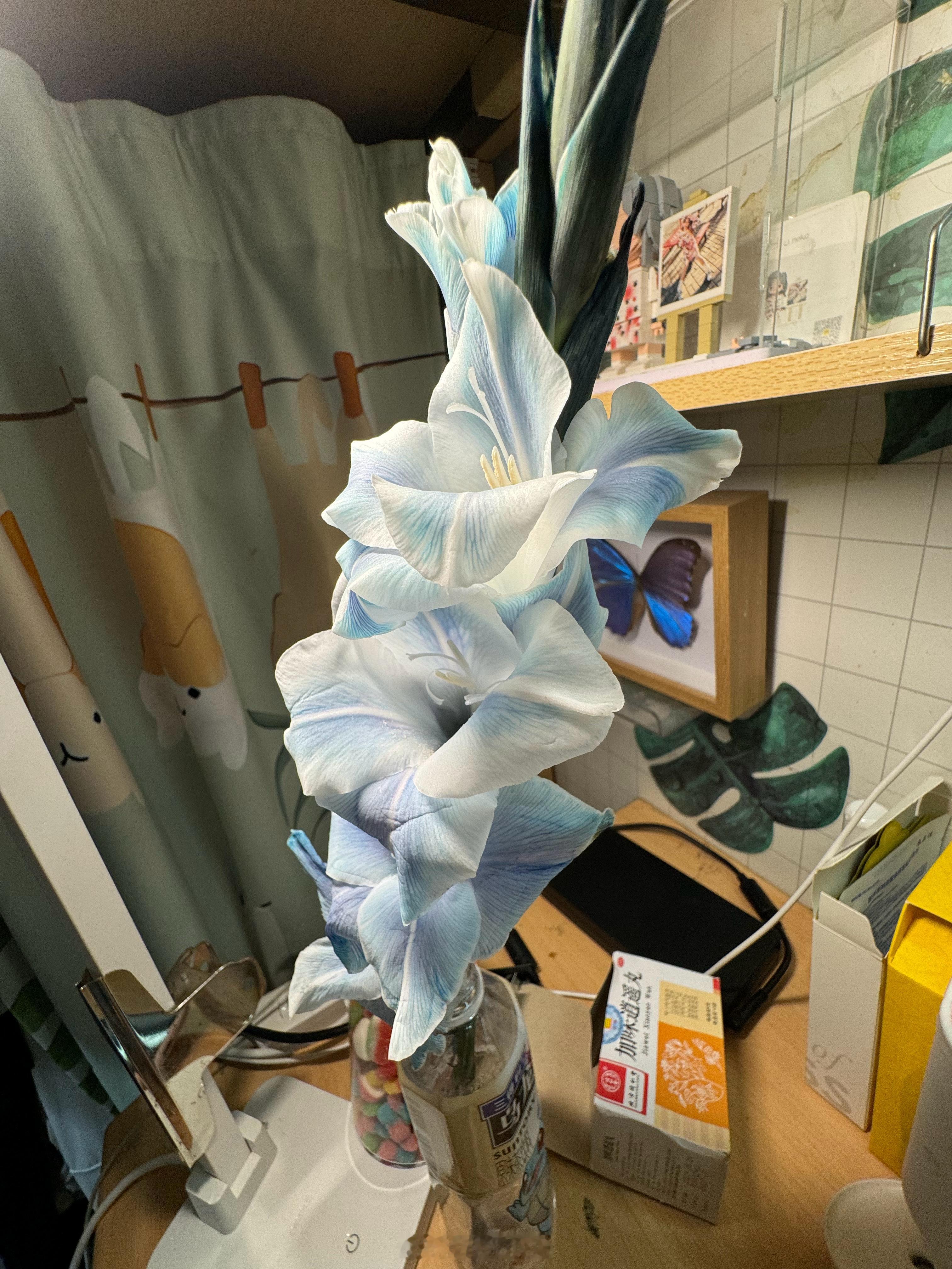 就这样水灵灵的被我随便抓个瓶子养开花了 ​​​