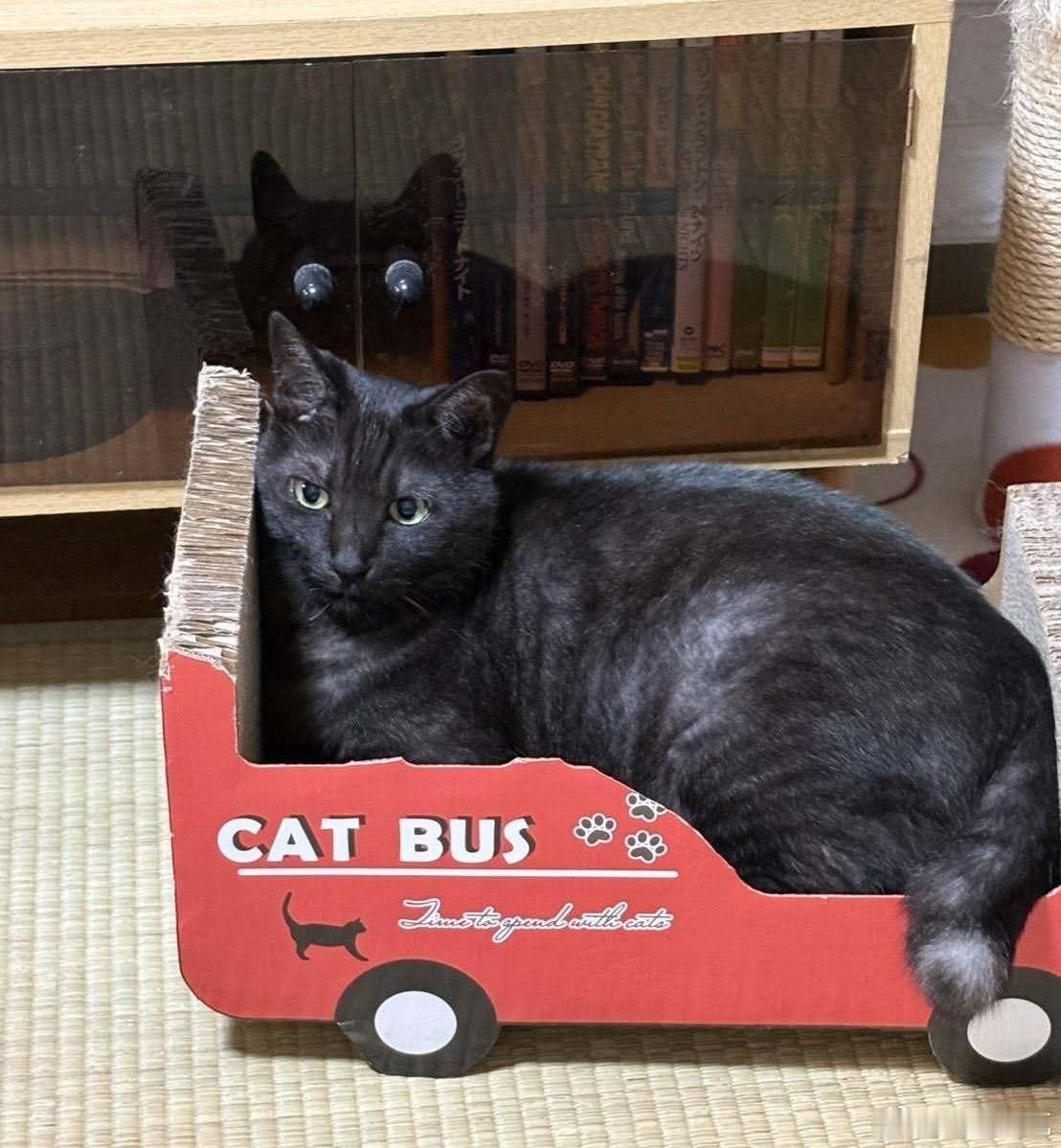 【 原推「老家的猫」 】许多网友认为他背后出现的是替身（ザ・キャッツ）。 ​​​