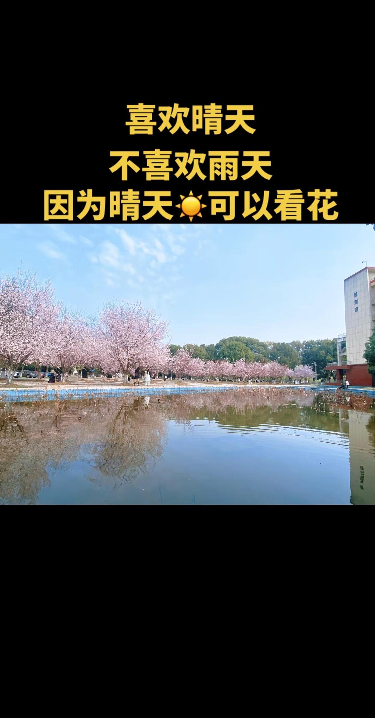 有谁和我一样讨厌下雨天☔️ 为什么常德最近都是雨雨雨了