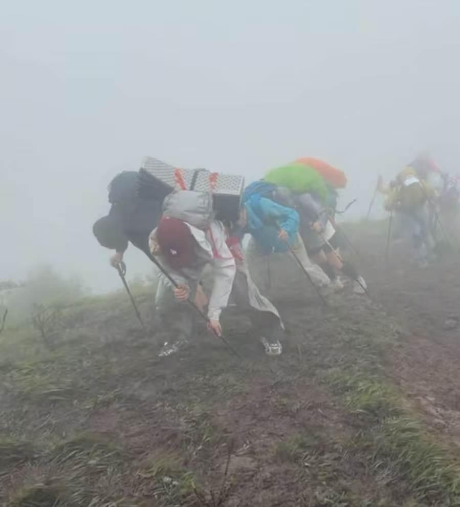 爬山真好，要风得风，要雨得雨，抬头是雾，低头是路，回头一看，五颜六色塑料布。
上