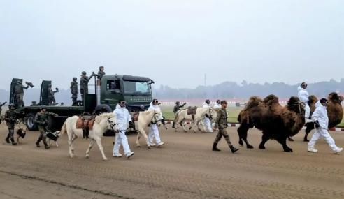 只有想不到，
没有印度做不出的荒唐事！
1月26日外媒爆料，印度最新阅兵式竟首次