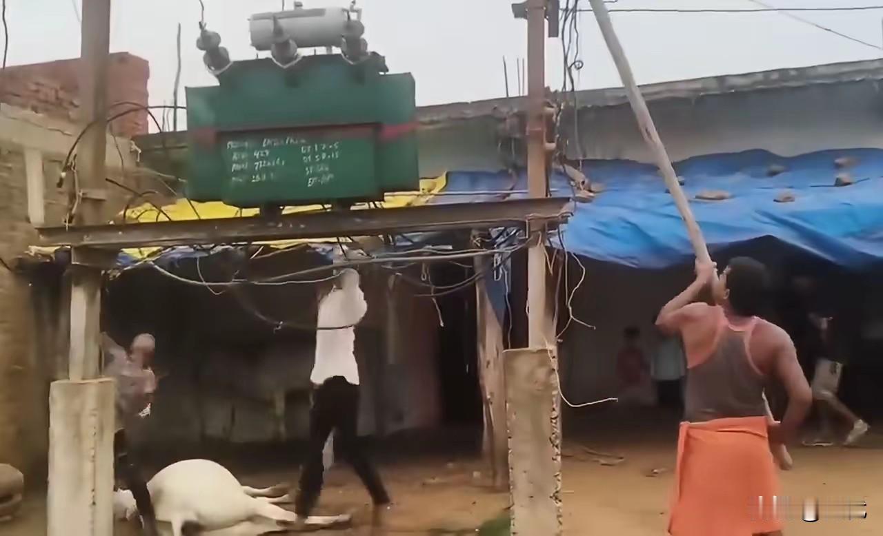 为神牛复仇砸变压器，
🇮🇳村民这脑回路真是让人不可思议！
 
离谱新闻又来自